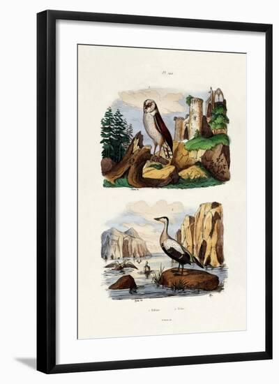 Barn Owl, 1833-39-null-Framed Giclee Print