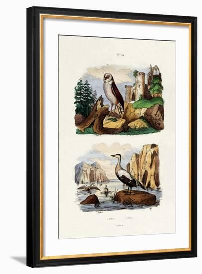 Barn Owl, 1833-39-null-Framed Giclee Print