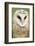 Barn Owl Close-Up-Hal Beral-Framed Photographic Print