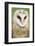 Barn Owl Close-Up-Hal Beral-Framed Photographic Print