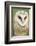 Barn Owl Close-Up-Hal Beral-Framed Photographic Print