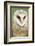 Barn Owl Close-Up-Hal Beral-Framed Photographic Print