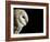 Barn Owl , Cornwall, UK-Ross Hoddinott-Framed Photographic Print