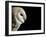 Barn Owl , Cornwall, UK-Ross Hoddinott-Framed Photographic Print