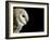 Barn Owl , Cornwall, UK-Ross Hoddinott-Framed Photographic Print