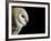 Barn Owl , Cornwall, UK-Ross Hoddinott-Framed Photographic Print