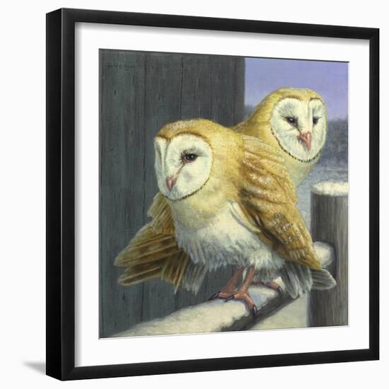 Barn Owl Couple-W Johnson James-Framed Giclee Print