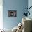 Barn Owl Flying into Building Through Window Carrying Mouse Prey, Girona, Spain-Inaki Relanzon-Framed Premier Image Canvas displayed on a wall