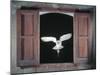 Barn Owl Flying into Building Through Window Carrying Mouse Prey, Girona, Spain-Inaki Relanzon-Mounted Photographic Print