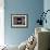 Barn Owl Flying into Building Through Window Carrying Mouse Prey, Girona, Spain-Inaki Relanzon-Framed Photographic Print displayed on a wall