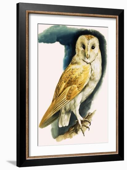 Barn Owl, Illustration from 'Peeps at Nature', 1963-English Photographer-Framed Giclee Print