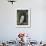 Barn Owl, in Old Farm Building Window, Scotland, UK Cairngorms National Park-Pete Cairns-Framed Photographic Print displayed on a wall