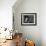 Barn Owl, in Old Farm Building Window, Scotland, UK Cairngorms National Park-Pete Cairns-Framed Photographic Print displayed on a wall