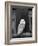 Barn Owl, in Old Farm Building Window, Scotland, UK Cairngorms National Park-Pete Cairns-Framed Photographic Print