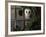 Barn Owl, Peering out of Broken Window, UK-Jane Burton-Framed Photographic Print