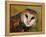 Barn Owl Portrait-Lynn M. Stone-Framed Premier Image Canvas