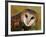 Barn Owl Portrait-Lynn M. Stone-Framed Photographic Print