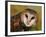 Barn Owl Portrait-Lynn M. Stone-Framed Photographic Print