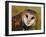 Barn Owl Portrait-Lynn M. Stone-Framed Photographic Print