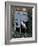 Barn Owl Sitting in Old Farm Window, Tyto Alba, Norfolk-Paul Hobson-Framed Photographic Print