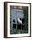 Barn Owl Sitting in Old Farm Window, Tyto Alba, Norfolk-Paul Hobson-Framed Photographic Print