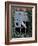 Barn Owl Sitting in Old Farm Window, Tyto Alba, Norfolk-Paul Hobson-Framed Photographic Print