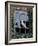 Barn Owl Sitting in Old Farm Window, Tyto Alba, Norfolk-Paul Hobson-Framed Photographic Print