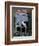 Barn Owl Sitting in Old Farm Window, Tyto Alba, Norfolk-Paul Hobson-Framed Premium Photographic Print