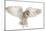 Barn Owl, Tyto Alba, 4 Months Old, Flying against White Background-Life on White-Mounted Photographic Print