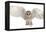 Barn Owl, Tyto Alba, 4 Months Old, Portrait Flying against White Background-Life on White-Framed Premier Image Canvas