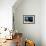 Barn Owl (Tyto Alba) Flying over a Church in Pitigliano, Tuscany, Italy-Angelo Gandolfi-Framed Photographic Print displayed on a wall