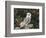 Barn Owl (Tyto Alba), on Dry Stone Wall with Hawthorn Berries in Late Summer, Captive, England-Steve & Ann Toon-Framed Photographic Print