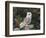 Barn Owl (Tyto Alba), on Dry Stone Wall with Hawthorn Berries in Late Summer, Captive, England-Steve & Ann Toon-Framed Photographic Print