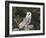 Barn Owl (Tyto Alba), on Dry Stone Wall with Hawthorn Berries in Late Summer, Captive, England-Steve & Ann Toon-Framed Photographic Print