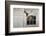 Barn Owl (Tyto Alba)-Rolf Nussbaumer-Framed Photographic Print