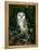 Barn Owl, Warwickshire, England, United Kingdom, Europe-Rainford Roy-Framed Premier Image Canvas