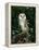 Barn Owl, Warwickshire, England, United Kingdom, Europe-Rainford Roy-Framed Premier Image Canvas