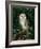 Barn Owl, Warwickshire, England, United Kingdom, Europe-Rainford Roy-Framed Photographic Print