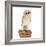 Barn Owl with Books Wearing Glasses-Andy and Clare Teare-Framed Photographic Print