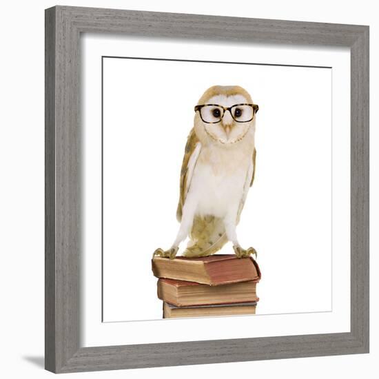 Barn Owl with Books Wearing Glasses-Andy and Clare Teare-Framed Photographic Print