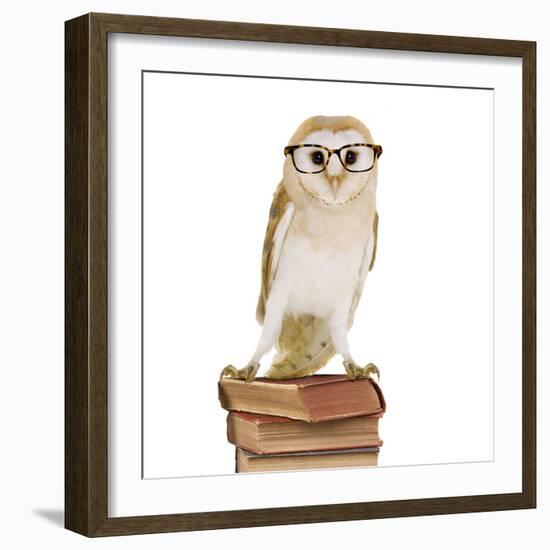 Barn Owl with Books Wearing Glasses-Andy and Clare Teare-Framed Photographic Print