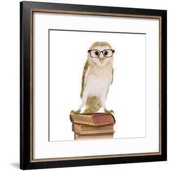 Barn Owl with Books Wearing Glasses-Andy and Clare Teare-Framed Photographic Print
