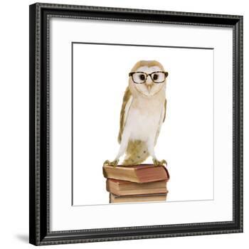 Barn Owl with Books Wearing Glasses-Andy and Clare Teare-Framed Photographic Print