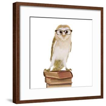 Barn Owl with Books Wearing Glasses-Andy and Clare Teare-Framed Photographic Print