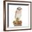 Barn Owl with Books Wearing Glasses-Andy and Clare Teare-Framed Photographic Print