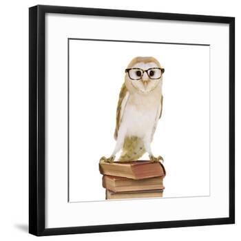 Barn Owl with Books Wearing Glasses-Andy and Clare Teare-Framed Photographic Print