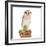 Barn Owl with Books Wearing Glasses-Andy and Clare Teare-Framed Photographic Print