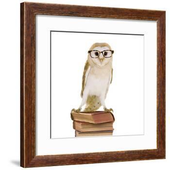 Barn Owl with Books Wearing Glasses-Andy and Clare Teare-Framed Photographic Print