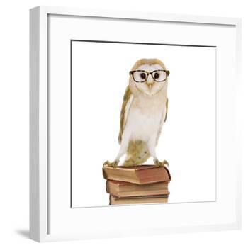 Barn Owl with Books Wearing Glasses-Andy and Clare Teare-Framed Photographic Print
