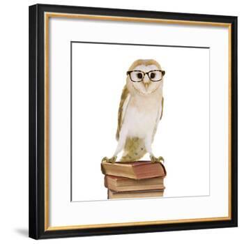 Barn Owl with Books Wearing Glasses-Andy and Clare Teare-Framed Photographic Print